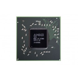 AMD 216-0810005 DC18